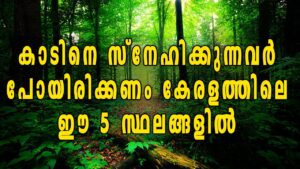 Read more about the article 5 Best Forest Destinations In Kerala | Oneindia Malayalam
