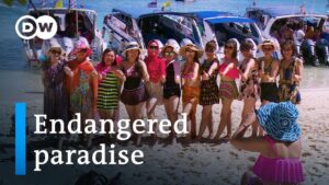 Read more about the article Thailand and the fallout from mass tourism | DW Documentary