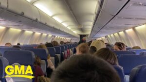 Read more about the article CDC issues new air travel guidelines for fully vaccinated Americans | GMA