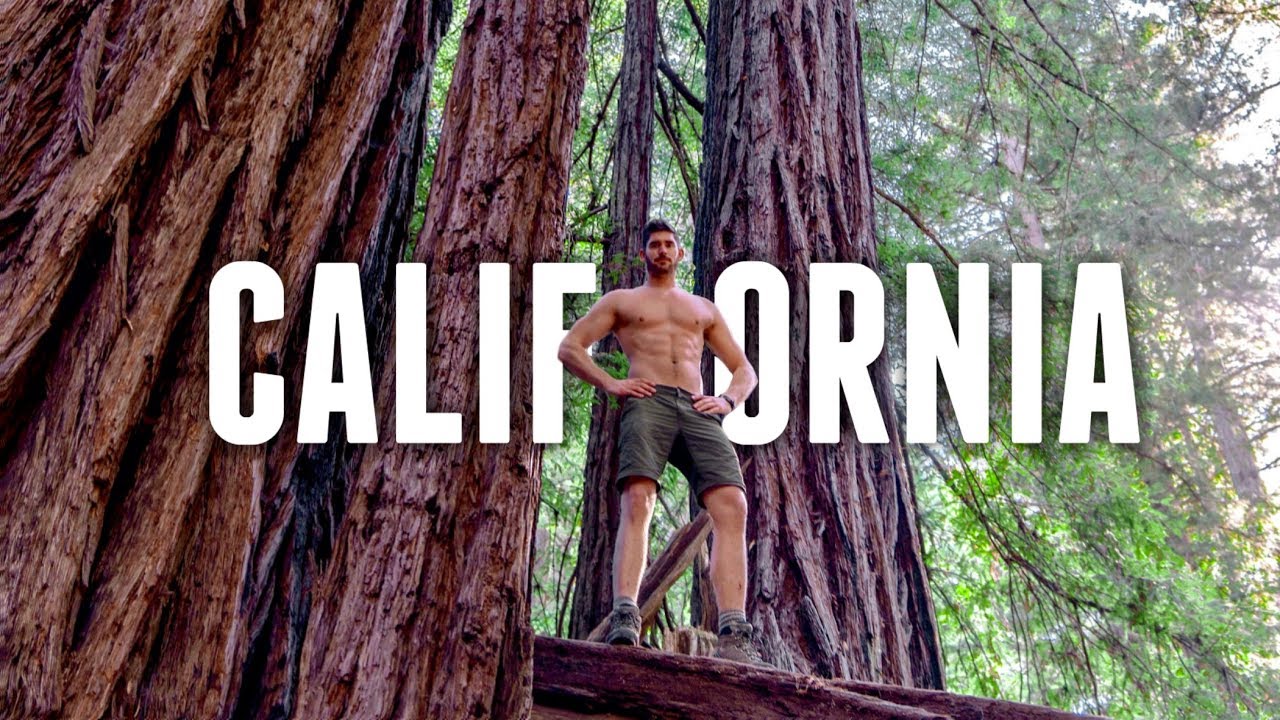 You are currently viewing California Road Trip TRAVEL GUIDE | REDWOOD FOREST
