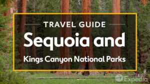 Read more about the article Sequoia and Kings Canyon National Parks Vacation Travel Guide I Expedia