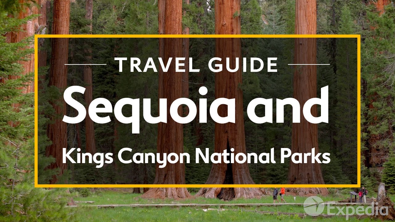 Read more about the article Sequoia and Kings Canyon National Parks Vacation Travel Guide I Expedia