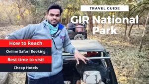 Read more about the article Gir National Park Travel Guide | How to reach, Safari Booking Online, Hotels, Best Time to Visit