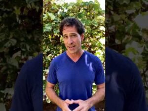 Read more about the article Are Visitors Canceling Their Hawaii Vacation? Hawaii Delta Variant Travel Update #shorts