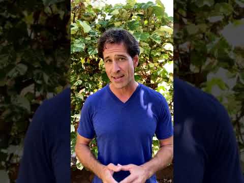 You are currently viewing Are Visitors Canceling Their Hawaii Vacation? Hawaii Delta Variant Travel Update #shorts
