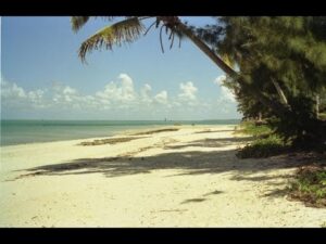 Read more about the article Mozambique. Travel guide.
