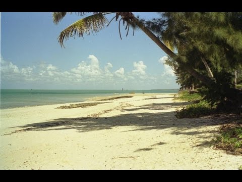 Read more about the article Mozambique. Travel guide.