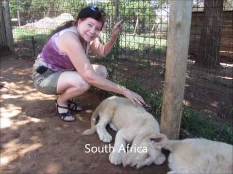 You are currently viewing Best Single Travel – Past Singles Vacations.wmv