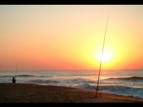 Read more about the article iExchange – KZN South Coast Holiday Destinations