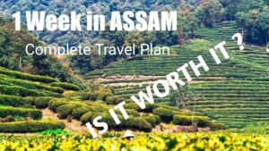 Read more about the article Top Tourist Destinations To Visit In Assam in 2020 | Complete Travel Plan and Guide