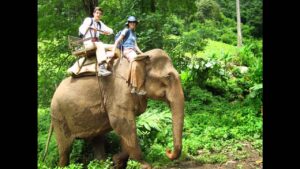 Read more about the article Popular destinations in Thailand Book your Holiday Packages in Thailand