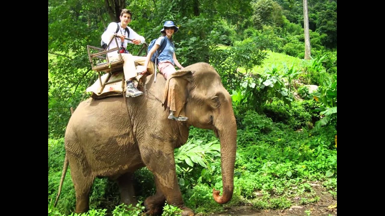 You are currently viewing Popular destinations in Thailand Book your Holiday Packages in Thailand