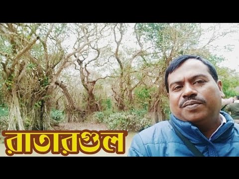 You are currently viewing রাতারগুল ভ্রমণ গাইড। Ratargul travel guide.
