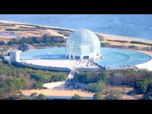 Read more about the article TOKYO SEA LIFE PARK/ Japan Travel Guide