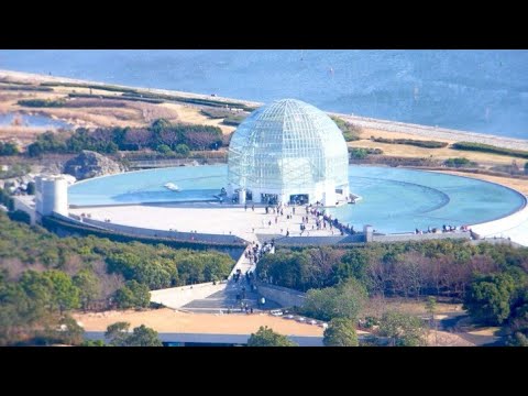 You are currently viewing TOKYO SEA LIFE PARK/ Japan Travel Guide