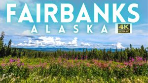 Read more about the article Fairbanks Alaska Travel Guide 2021