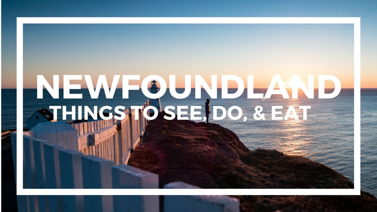 Read more about the article Newfoundland Travel Guide – Top Things To See, Do, & Eat