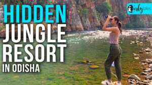 Read more about the article We Visited Aranya Niwas-  A Resort Inside A Jungle In Odisha | Curly Tales