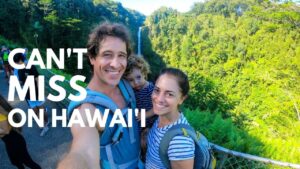 Read more about the article Hawaii (Big Island) Travel Guide 2021 | 11 Tips for THE BEST Hawaii Vacation