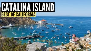 Read more about the article Things To Do in CATALINA ISLAND California (Travel Guide & Vlog)