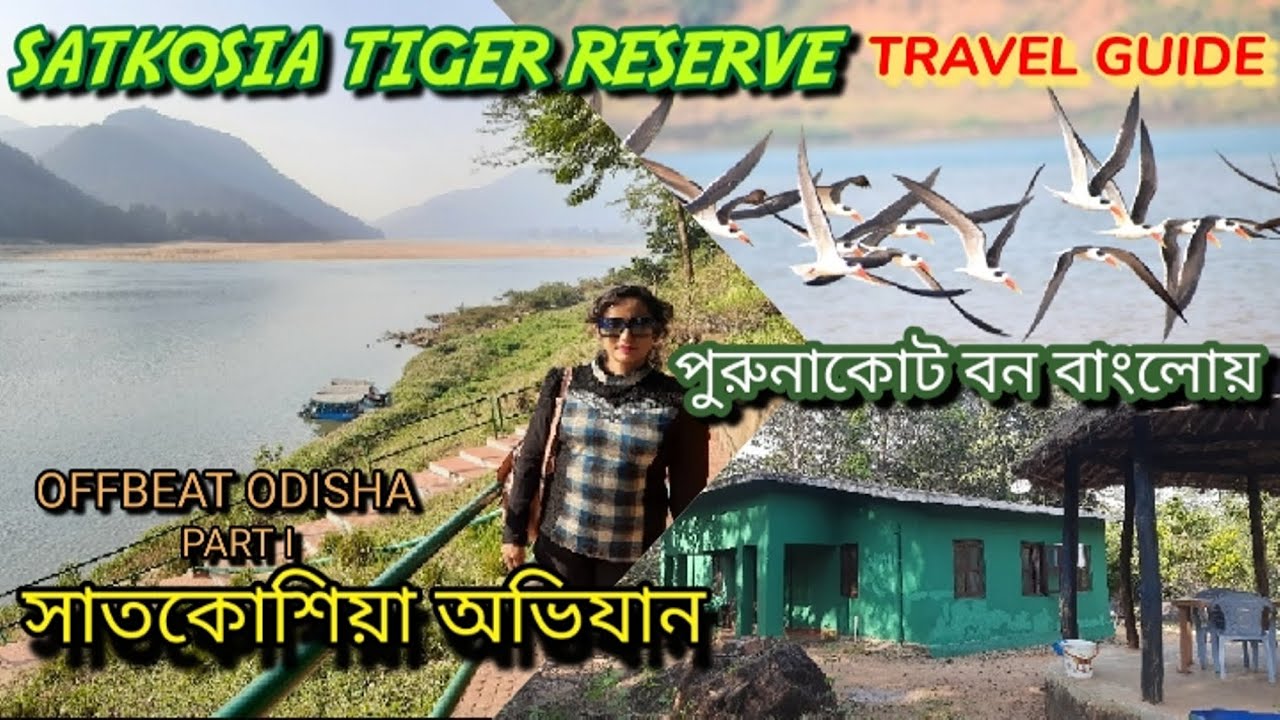 You are currently viewing Satkosia Forest Travel Guide | Purunakote Nature Camp | Offbeat Odisha | Tiger Reserve | Mahanadi