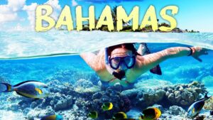Read more about the article 10 Things To Do In 2022 | Bahamas Travel Guide