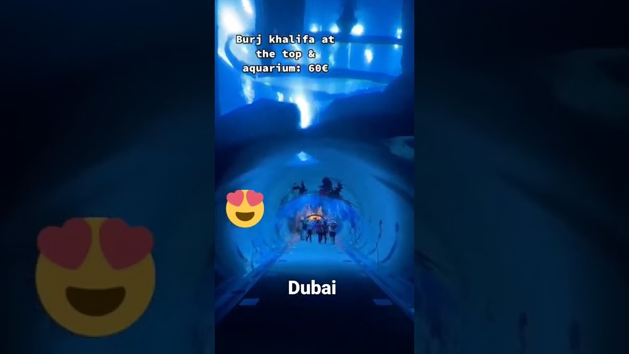 You are currently viewing what to do in Dubai, travel to Dubai, travel guide,  travel tips, travel, vacation in Dubai #shorts