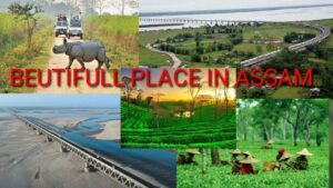 Read more about the article BEAUTIFUL SCENERY IN NORTH EAST ASSAM ! BEST TOURIST DESTINATIONS  IN ASSAM..