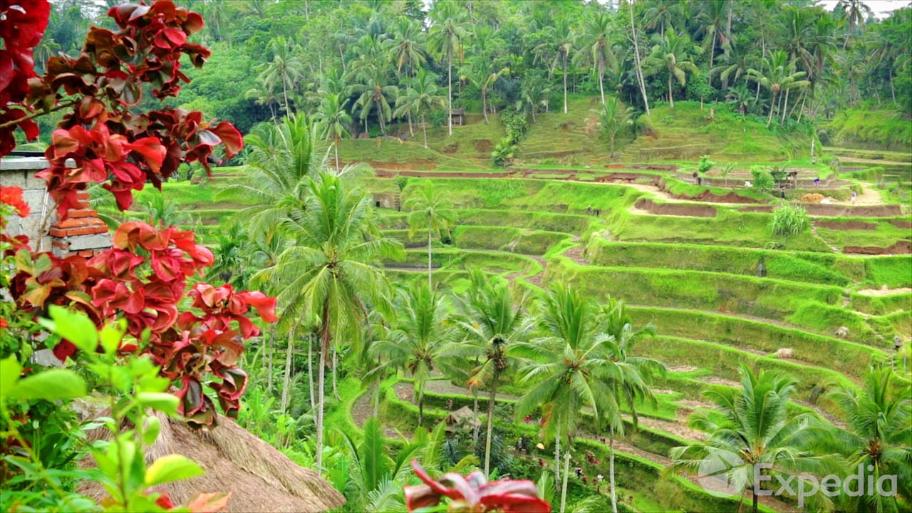 Read more about the article Bali Video Travel Guide | Expedia Asia