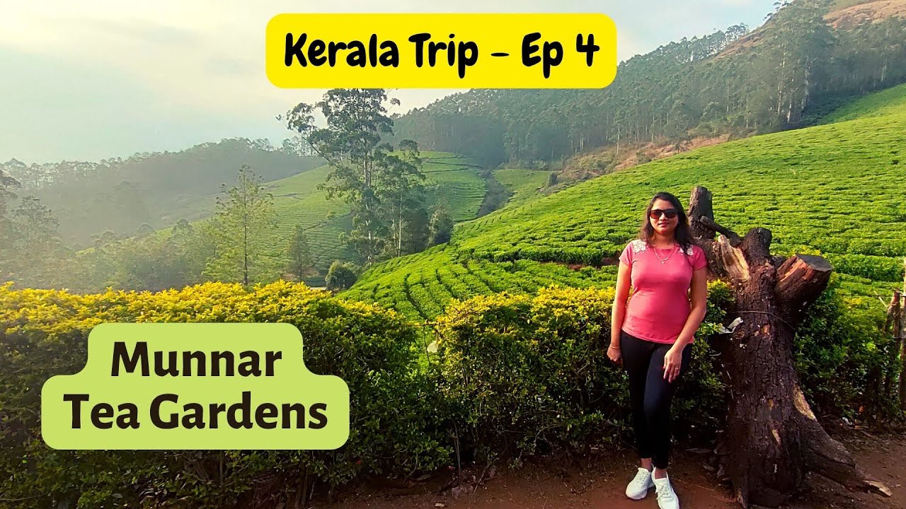 You are currently viewing Kerala Trip | Ep 4 | Munnar Hill Station | Tea Garden | Best Tourist Place to visit | Kerala Tourism