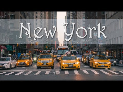 Read more about the article Things To Do In New York: 4 Day Travel Guide