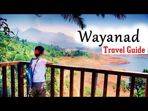 Read more about the article Wayanad Travel Guide | 2 Days Travel Itinerary to Wayanad in Kerala