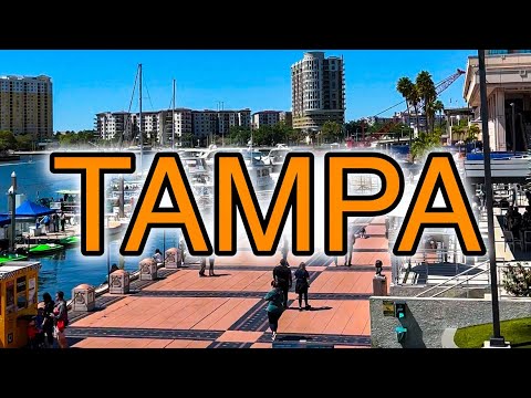 Read more about the article Tampa Florida Travel Guide 2022 4K