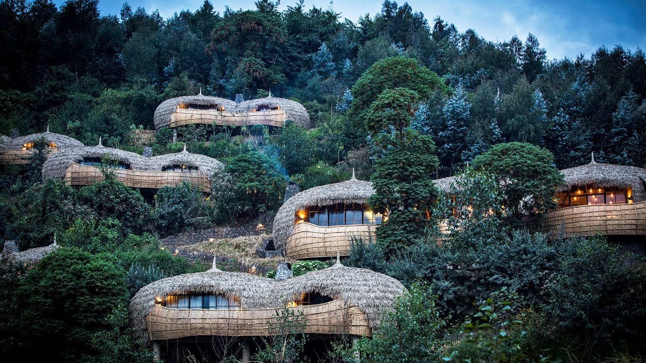 Read more about the article Bisate Lodge (Rwanda): SPECTACULAR hotel near the gorillas