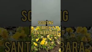 Read more about the article Travel guide #Santabarbarajardin 🇵🇹 ubicado en #bragaportugal sitio #instgram para desbloquear