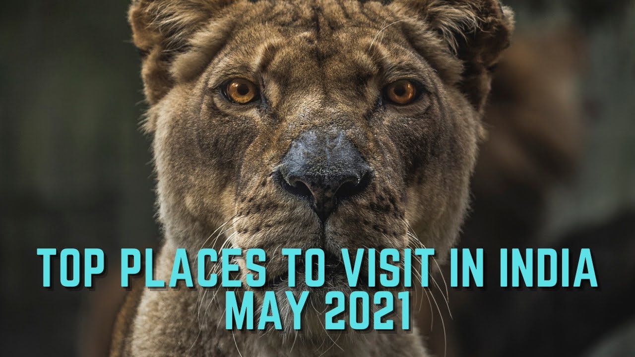 Read more about the article May 2021 | Top 20 Must-Visit Holiday Destinations in India you cannot afford to miss!