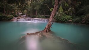 Read more about the article China, Hong Kong, Vietnam, Cambodia, Laos – our photography holiday destinations #ClickClickTravel